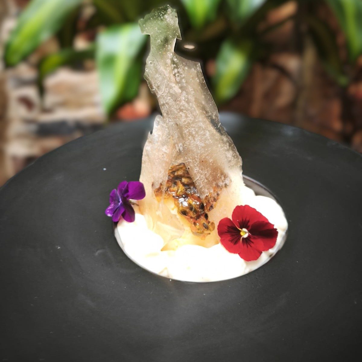 Tartaleta con Aroma del Nevado del Huila